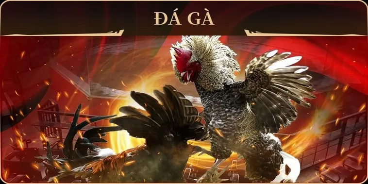 Tuyệt Chiêu Cách Chơi Đá Gà GA28 Tại DP568 Ăn Tiền Thật
