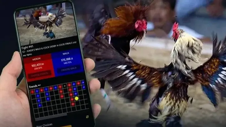 Trải Nghiệm Sảnh Cược Đá Gà DP568 Đỉnh Cao Thưởng Vô Hạn